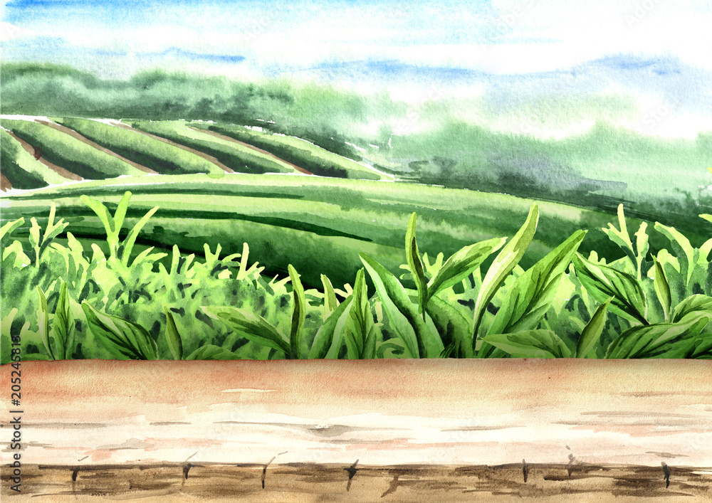 Wall mural Wood floor on tea plantation. Hand drawn watercolor illustration. Tea background