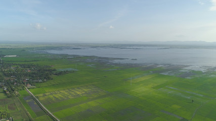 Aerial view of agricultural land, rice terraces near the lake Baao, Philippines, Luzon. Tropical landscape, lake, farm of the land on background mountains.