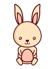 Fototapeta na wymiar cute rabbit icon over white background, colorful design. vector illustration