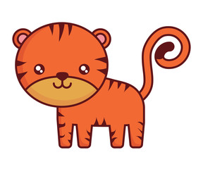 cute tiger icon over white background, colorful design. vector illustration