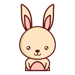 cute rabbit icon over white background, colorful design. vector illustration