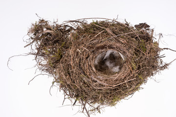 Natural bird nest with feathers isolated on white background