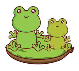 cute frogs in the grass over white background, colorful design. vector illustration