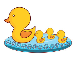 cute duck and little ducks  over white background, colorful design. vector illustration