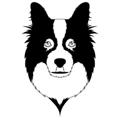 Silhouette of a border collie avatar