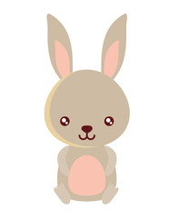 cute rabbit icon over white background, colorful design. vector illustration