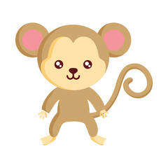 cute monkey icon over white background, colorful design. vector illustration