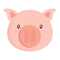 cute pig icon over white background, colorful design. vector illustration