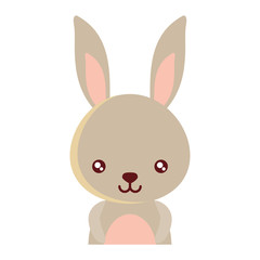 cute rabbit icon over white background, colorful design. vector illustration