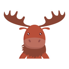 cute elk icon over white background, colorful design. vector illustration