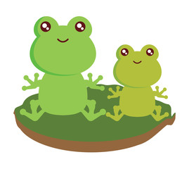 cute frogs in the grass over white background, colorful design. vector illustration