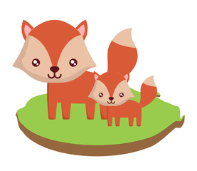 cute foxes on the grass over white background, colorful design. vector illustration