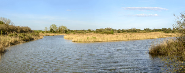 nature oasis at lagoon, Volano, Italy