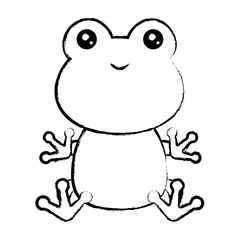 sketch of cute frog icon over white background, colorful design. vector illustration
