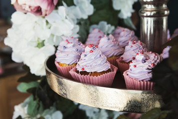 Obraz na płótnie Canvas Violet cupcakes at candy bar, closeup