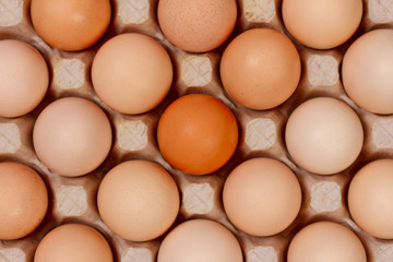 the eggs in the carton boxes laying, top view closeup