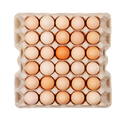 the eggs in the carton boxes laying isolated on white background top view close up