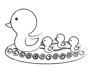 cute duck and little ducks  over white background, colorful design. vector illustration