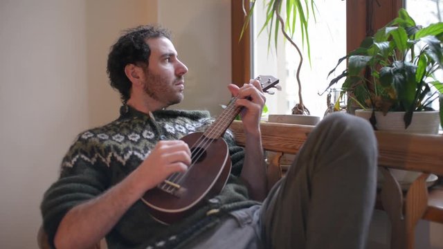 A Man play on a Mandoline near the Window at Home in Living Room - Day