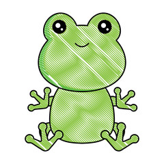 cute frog icon over white background, colorful design. vector illustration