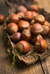Hazelnuts on the bark. Selective focus.