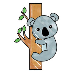 cute koala on tree branch over white background, vector illustration