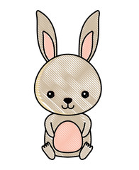 cute rabbit icon over white background, colorful design. vector illustration