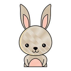 Obraz premium cute rabbit icon over white background, colorful design. vector illustration