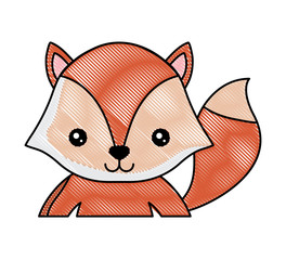 cute fox icon over white background, colorful design. vector illustration
