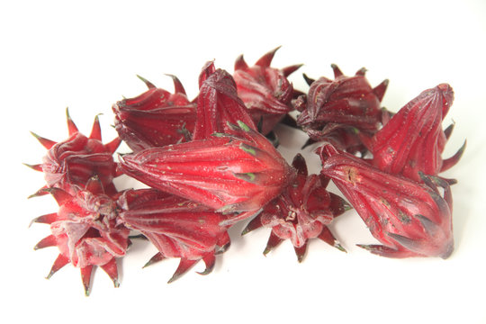 Red currant, Sao Paulo, Brazil