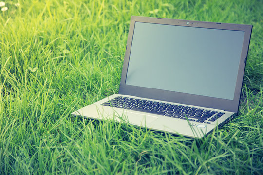 Laptop in grünem frischen Gras, draußen