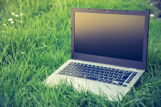 Laptop in grünem frischen Gras, draußen