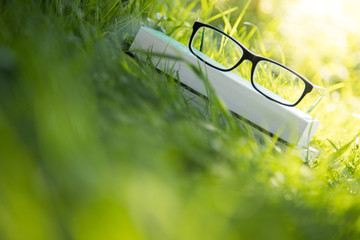 Brille auf Bücherstapel draußen im Gras, Intelligenz, Textfreiraum
