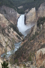 Grand Canyon of the Yellowstone