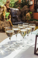 The glasses are filled with white dry wine