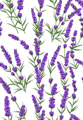 seamless pattern of purple lavender flowers, watercolor style flowers. elegant flowers. vector background.lavender background for text, card template, invitation, banner, business cards,