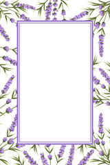 background of purple lavender flowers, watercolor style flowers. elegant flowers. vector background.lavender background for text, greeting card, invitation, banner, business cards, template.