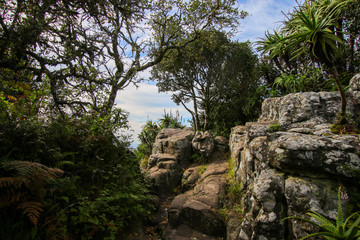 Trail at God's Window viewpoint in Blyde River Canyon area in Mpumalanga Province of South Africa