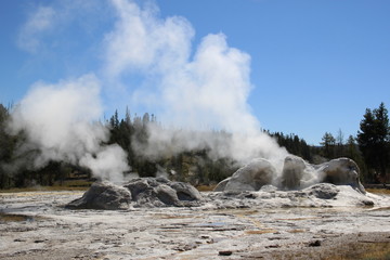 yellowstone geysir
