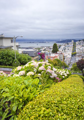 Russian Hill on Lombard Street, San Francisco, California - USA