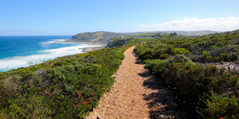 Fototapeta premium Hiking trail in the Robberg Nature Reserve near Plettenberg Bay on the Garden Route, Western Cape, South Africa