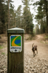 Wanderweg Eifelsteig