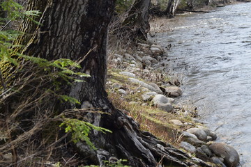 Fototapeta na wymiar Maine River Rocks