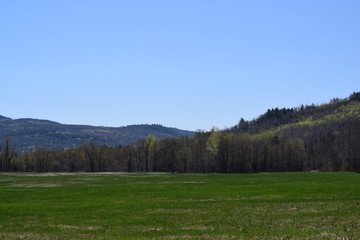 Fototapeta na wymiar Maine Field in Spring