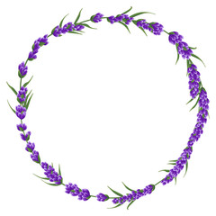 background of purple lavender flowers, watercolor style flowers. elegant flowers. vector illustration. lavender background for text, card template, invitation, banner, business cards, fabric.