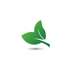Obraz premium Abstract leaf logo icon template