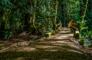 Obraz premium Foot Bridge Over A Mountain Stream