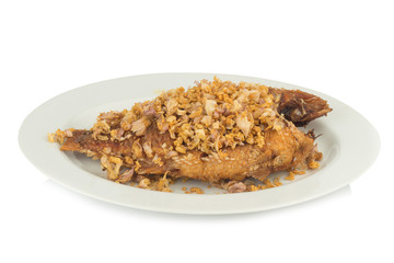 Naklejka premium asia-asian food. thai food. fried nile tilapia river fish with garlic. on dish ceramic. isolated on white background