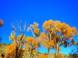 Fototapeta premium Freemont Indian State Park