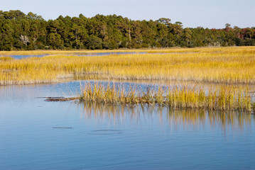 Salt Water Marsh Murrells Inlet South Carolina